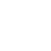 white paw and cross icon