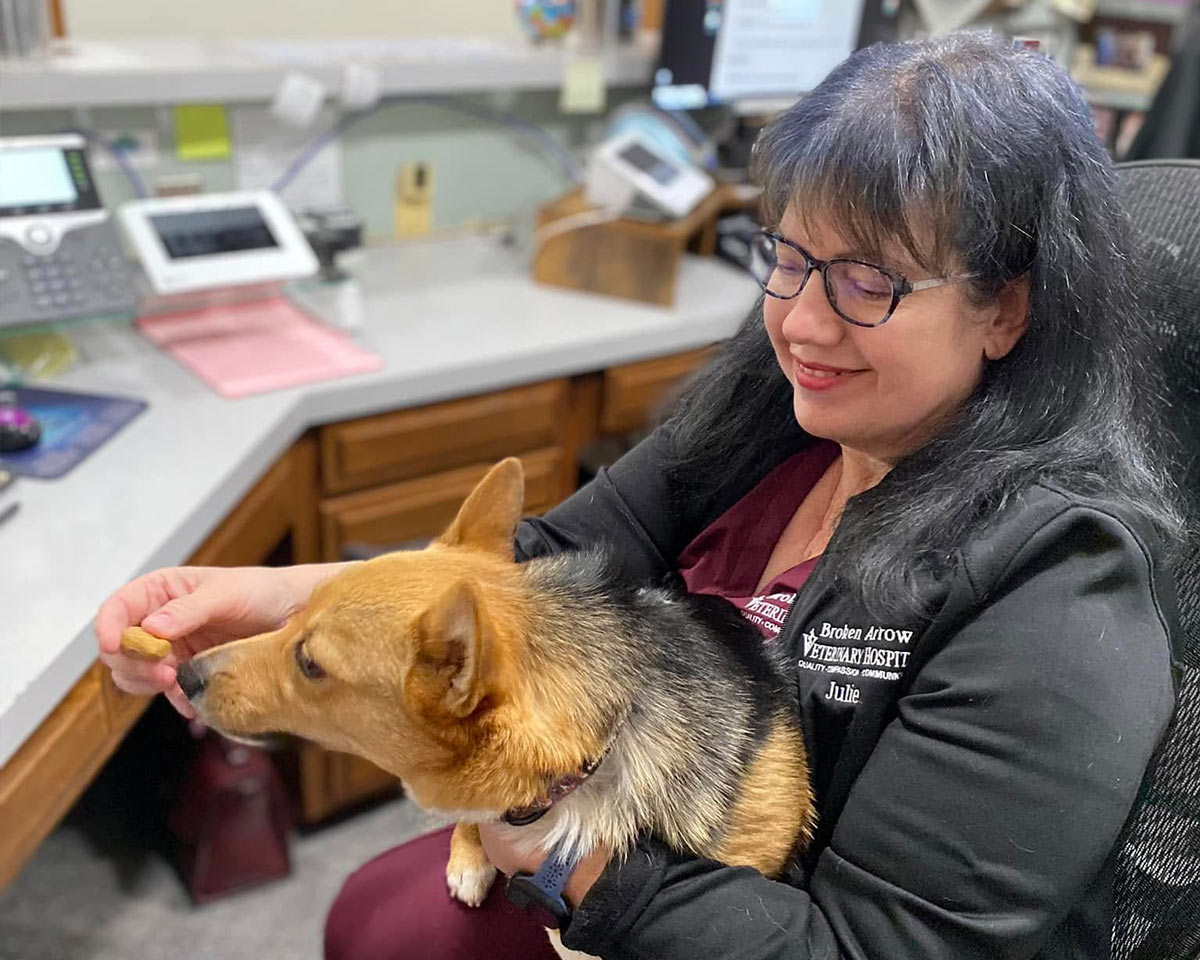 veterinary team member feeding a treat to dog in office