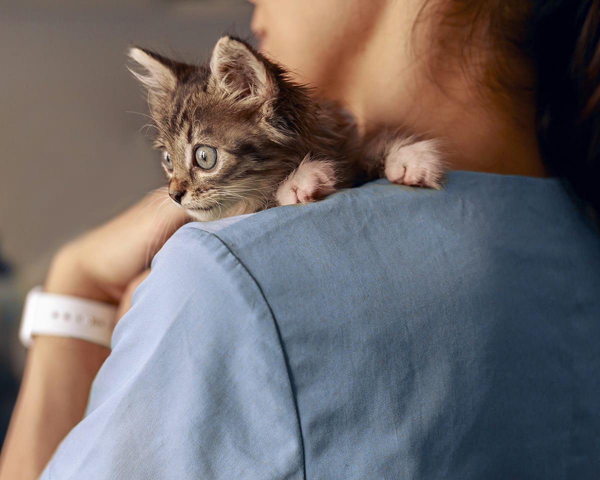 veterinary-team-member-holding-puppy-900x720-1 comprehensive pet vaccines