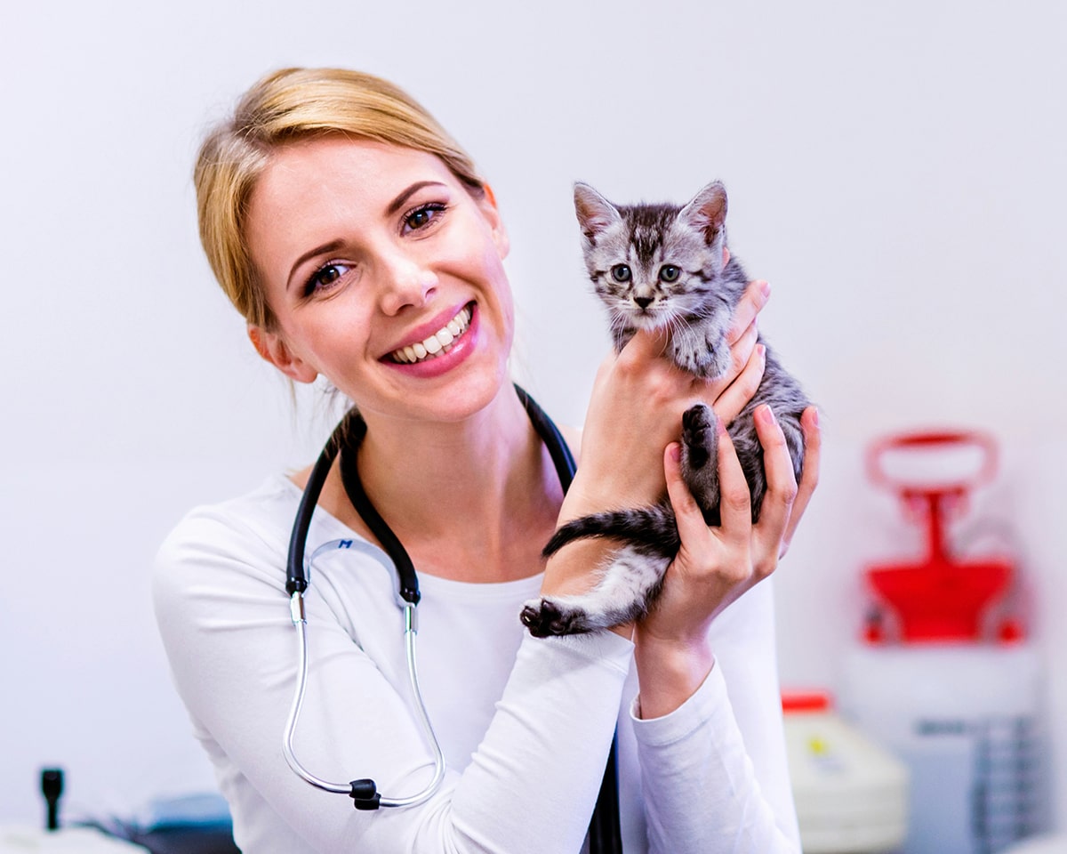 veterinary-team-member-holding-puppy-900x720-1 Doctor Holding Cat