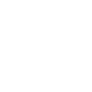 Emergencies-icon
