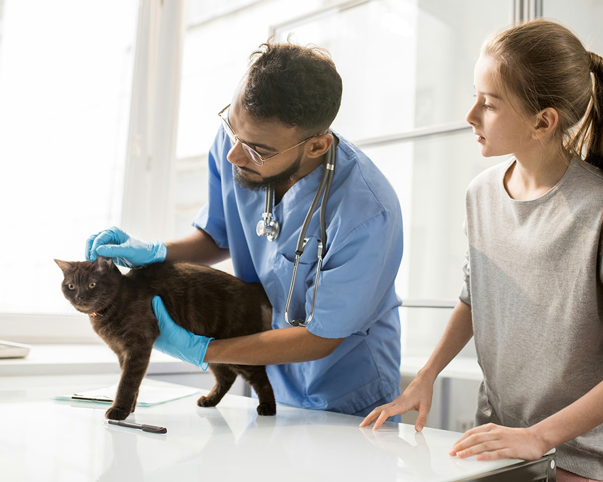 Customized Parasite Prevention Plans