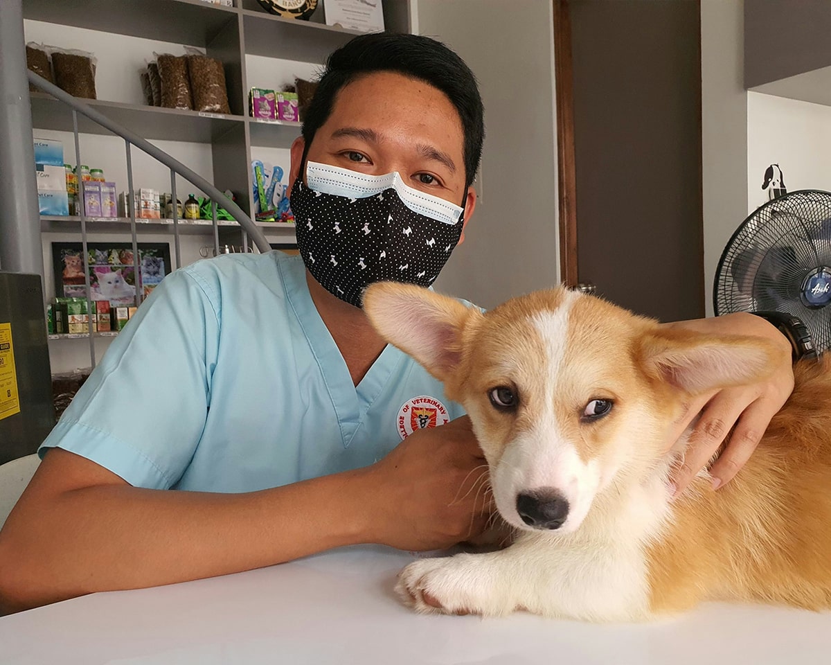Pet Bloodwork & Chemistry Panels