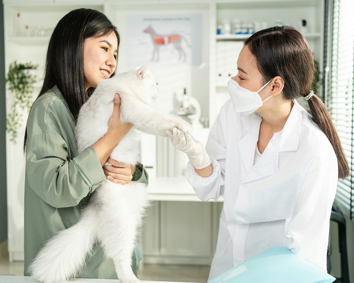 Heartworm & Tick-Borne Disease Testing