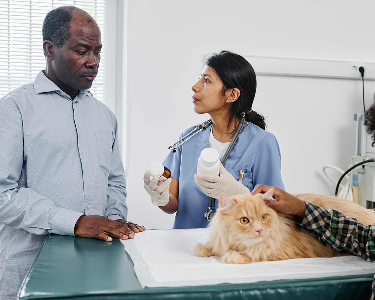 Pet Tick Prevention & Flea Control