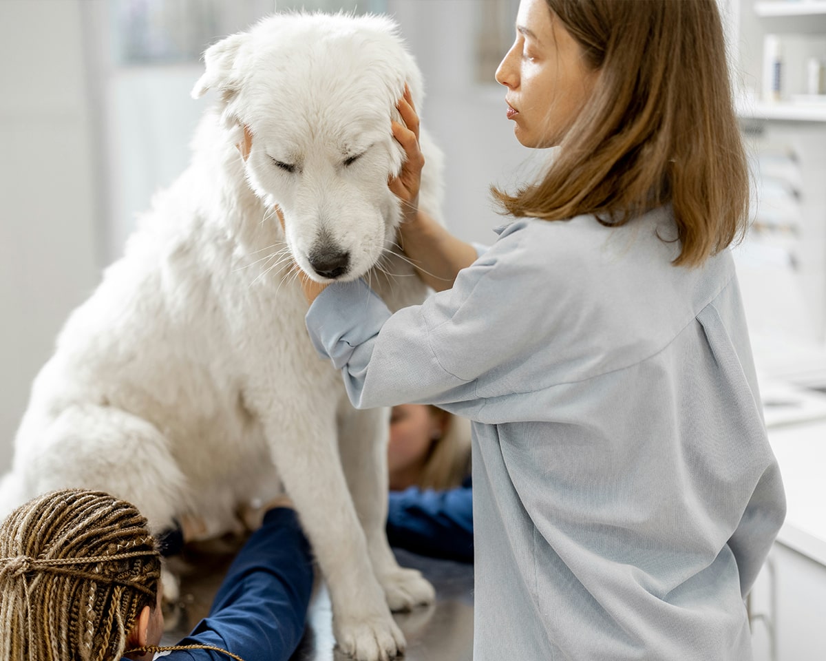 safe vaccination
