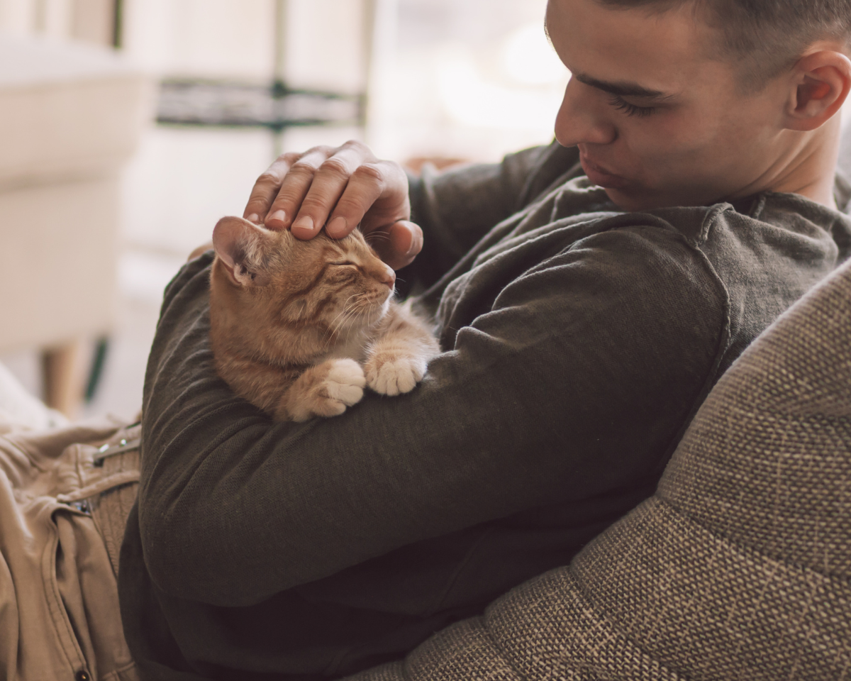 person holding a cat